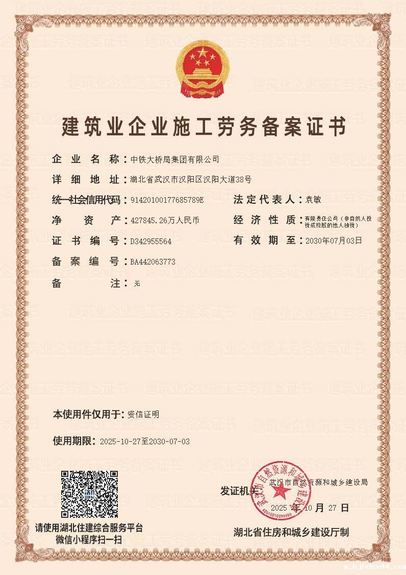 集团公司施工劳务备案资信证明件_dzqz 集团公司施工劳务备案资信证明件_dzqz